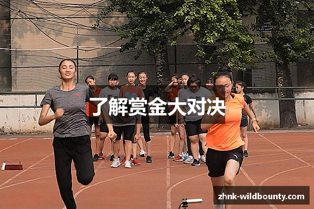 了解赏金大对决